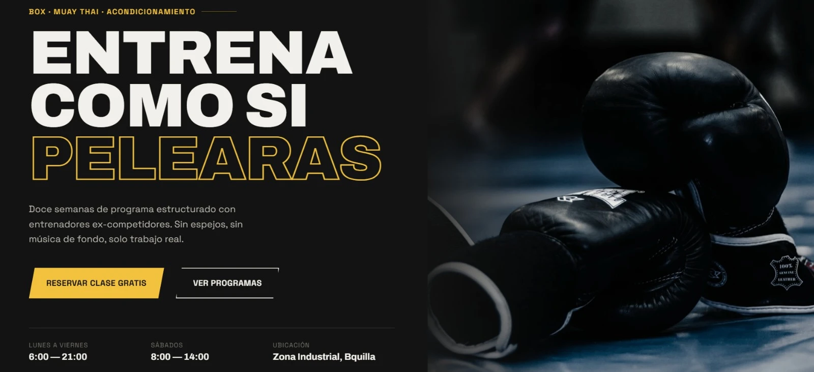 Página de inicio del sitio web de Ring13